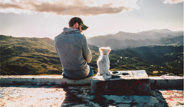 A man and his dog sitting together on a ledge overlooking the mountains