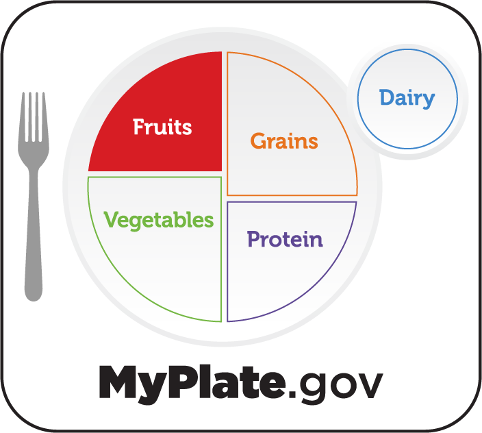 Illustration of a plate with the portion of food groups with fruit highlighted in red.